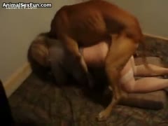A blonde is bonked by a muscular dog.